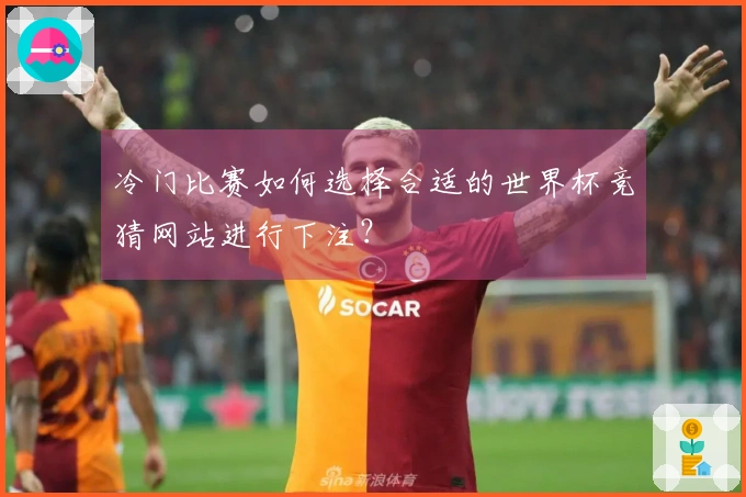 冷门比赛如何选择合适的世界杯竞猜网站进行下注?